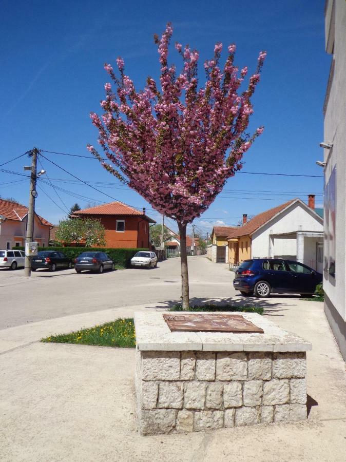 Apartman Bedem Nikšić Εξωτερικό φωτογραφία